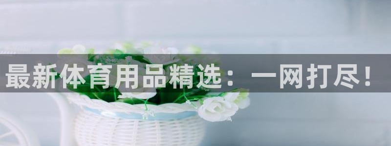 富联平台官网：最新体育用品精选：一网打尽！